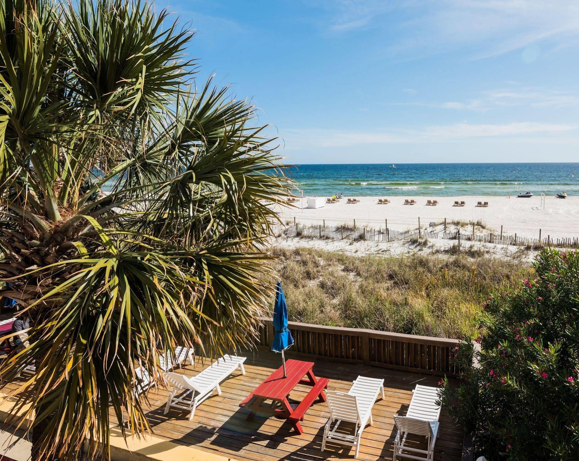 The Driftwood Lodge Панама-Сіті-Біч Екстер'єр фото